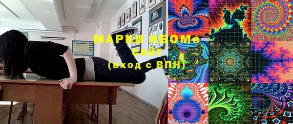 стаф Щигры
