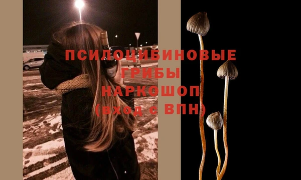 ПСИЛОЦИБИНОВЫЕ ГРИБЫ Покровск