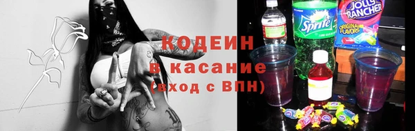 стаф Щигры