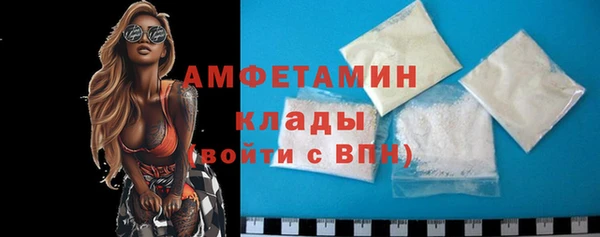 стаф Щигры