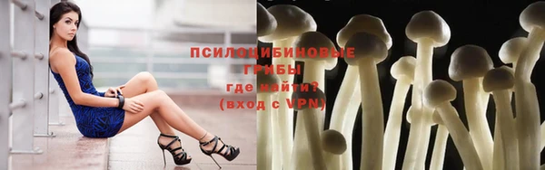 ПСИЛОЦИБИНОВЫЕ ГРИБЫ Покровск