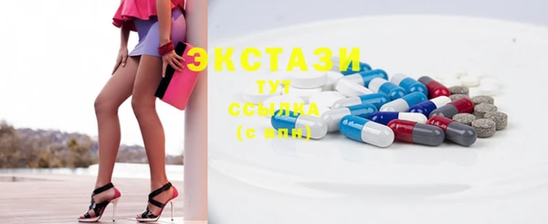 стаф Щигры