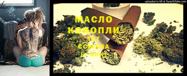 стаф Щигры