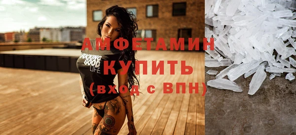 стаф Щигры