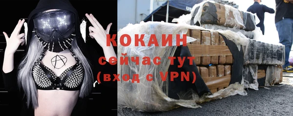 стаф Щигры