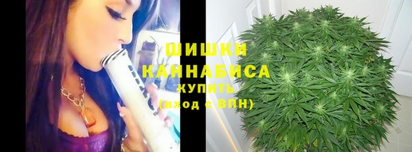 стаф Щигры