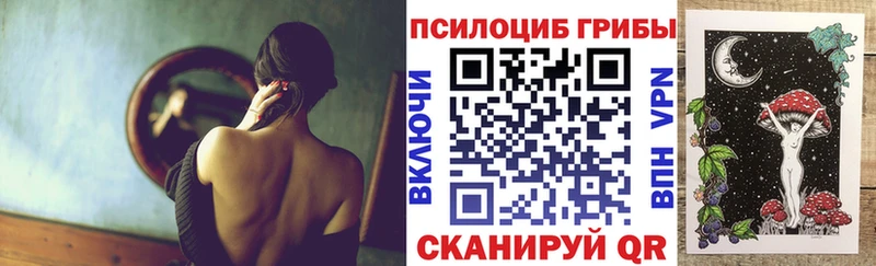 купить наркотик Аркадак Псилоцибиновые грибы Magic Shrooms