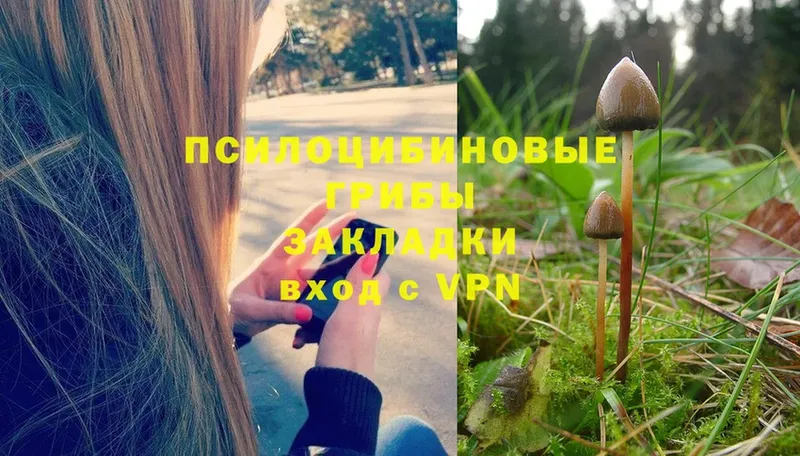 Галлюциногенные грибы прущие грибы  купить  цена  Аркадак 