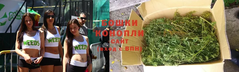 mega как войти  Аркадак  Конопля марихуана 